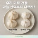 중국산 마늘, 국산보다 건강에 안 좋을까? 직접 써본 리얼 후기