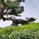 큰꽃 제작소