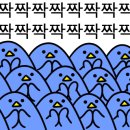 태극안경콘택트(세종대평점) 이미지