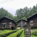 울진농업협동조합 금강송지점 | [경북 울진] 통고산 자연휴양림 [숲속의집] 진달래 숙박 후기!