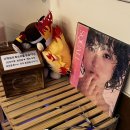 맛있는술집미술관 | 청담동 술집 &lt;청담호프&gt; 결혼식 피로연 맛집 골치세트 후기