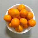 제주제이스타 | 제이가든 미니향 / 귤 / 기타감귤 / 낑깡 /쿠팡템 /겨울간식