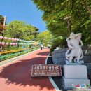 사성암화장실 | 구례 가볼만한곳, 사성암 (주차장, 마을버스, 택시, 가는법) / 부처님 얼굴 바위 / 구례 오산