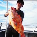 도시어부 이미지