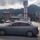 낙동생오리 이미지