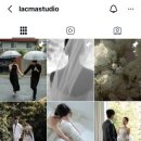 베리제이 | W08. 베리굿웨딩 | 플래너 업체 정하기, 플래너 계약후기 (제이웨딩 비교, 베리굿웨딩 견적 공유)