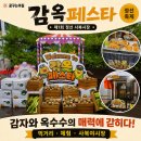 올챙이의 꿈 | 정선축제 감옥페스타 후기 사북시장 감옥축제 사북야시장