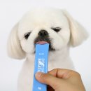 브레스:숨 | ☁️ 켁켁거림 끝, 숨 쉬는 행복 시작! ― 닥터바이 브레스 리얼 후기 ✨