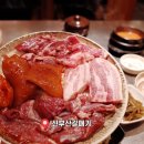 신부산갈매기 이미지