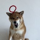 두유 개린이집 이미지