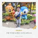주말 아이와 포켓몬 시크릿 포레스트｜소소하고 평범한 오픈런 후기 절망편