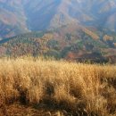 정선군 종합관광안내소 이미지