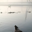 도래지 | 제주 철새 도래지 탐조 여행 후기