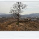 송한영의 소박사 정육점식당 | 일자산 산행 (2) - ( 2020.02.24 )