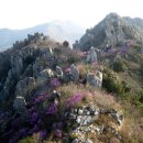 제 234차 강진 덕룡산(432M) 및 주작산(475m) 정기산행 안내 이미지