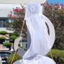 백수초등학교 이미지