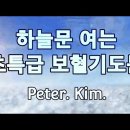 하늘문 여는 초특급 보혈기도문 peter.klm 이미지