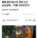 난리났던 랍스타 식당 "사후 경련일 뿐" 이미지