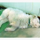 고향뜰 농장 이미지