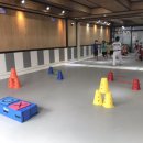 유나이티드 미르태권도장 이미지