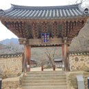 일주문 헤럴드경제