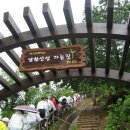 샘재로 4 이미지