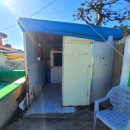 하얀나무펜션 이미지