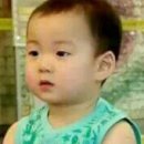 참치바라기 이미지