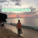 푸른 | 오키나와 무료 스노쿨링 스팟 마에다 비치 푸른동굴 후기