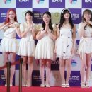 버스터즈 카카오 검색결과