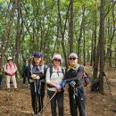 《일요산행745차》9월22일 양평 청계산(형제봉) 산행의 추억 이미지