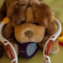 강아지와고양이나라 동물병원 이미지