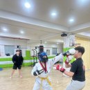 팀레드 | 청천동격투기 &#39;합성태권도장 / 팀레드폭스 주짓수&amp;MMA&#39; 후기
