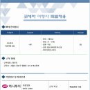 BN항공여행사