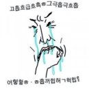 펫미장원 공감 이미지