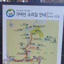 해인사 보리암 향일암 화엄사 지리산 뱀사골 오운마을 반게리 은행나무 이미지