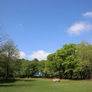 수원-1606 이미지