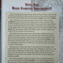 UNIT 8. Why Are Rain Forests Important? 이미지