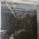 일이축산 이미지