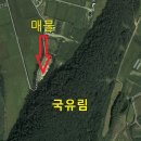 이원선사무소 이미지