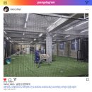 하남 내야수 전문 수비 레슨장 강동 송파에서도 가까운 야구의민족 방문후기