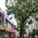 리연헤어 - 의정부시 부용로 233 | 리연헤어