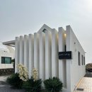 제주가족펜션 오션뷰풀빌라 포리별 판포협재점 | 제주도 판포포구 숙소 추천 포리별펜션! 독채펜션 수영장있음