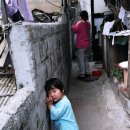 코리아탕 이미지