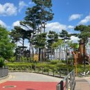 청운공원 | 서울 인왕산 초보 등산코스 서촌 하산 방향 (청운공원-인왕산 숲속쉼터-더숲 초소책방-수성동 계곡)