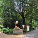 ㈜스카이투어[전세버스] | [푸꾸옥 1일차] 7월 우기의 푸꾸옥✈️ 빈펄 사파리, 그랜드월드 분수쇼 솔직 후기 (ft. 메이홍 비치프론트)