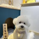 환해지개 이미지