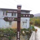 삼백육십오일사 Daum카페