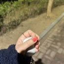 네일드노아 네이버블로그