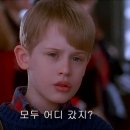 나홀로 집에 2 ( Home Alone 2 - Lost in NewYork , 1992 ) 이미지